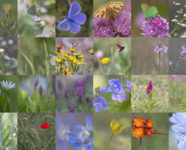 ecosystemen zijn kwetsbaar voor stikstof ede
