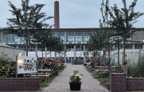 Hoe een school in de ENKA-wijk veiliger en groener werd 10 deontdekking enka