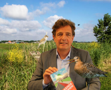 rene verhulst grutto kleine karekiet 2 helder