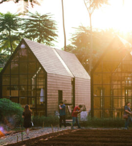 Een meer lokale WFE: haalbare ambitie of 'greenwashing'? 15 verdian chua lokaal voedsel