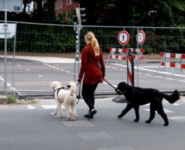wegopbrekingen overlast ede