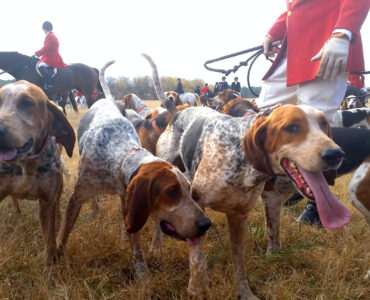 vossenjacht jason wolf