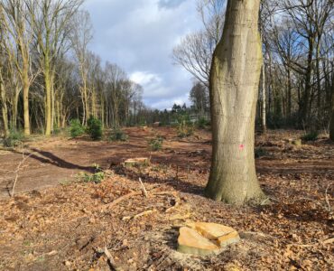 allardbijlsma 20220205 141031