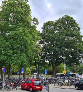 Actie tegen bomenkap op Noordplein Ede-Wageningen 15 allardbijlsma 20230801 163203