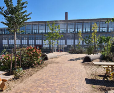 cns de ontdekking allardbijlsma 2