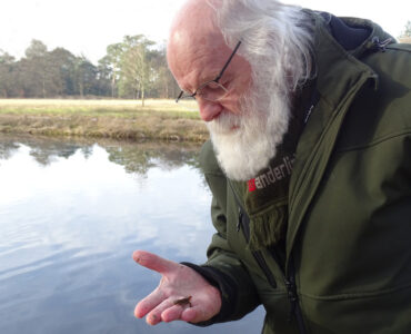 louis fraanje watersalamander