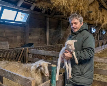 schaapskooi ede lillian jeziorski