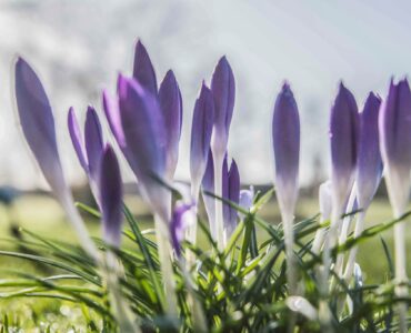 Dick Klein Geltink 421962001 24708094415500768 921484285473437485 n