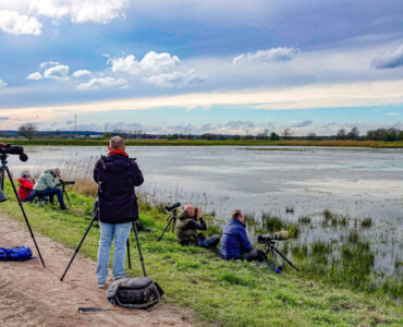 Louiz Prinsen Binnenveld