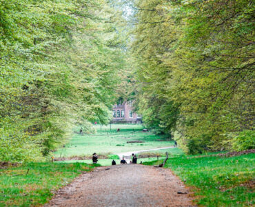 Louiz Prinsen Hoekelum