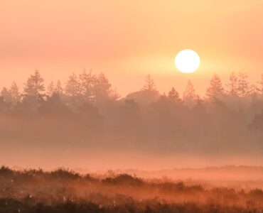 Eric Bergmeester 436440458 8148602208486094 7052594325181270746 n