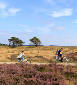 jaarkaart hoge veluwe