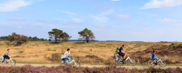 jaarkaart hoge veluwe