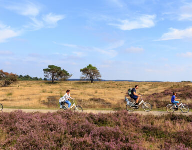 jaarkaart hoge veluwe