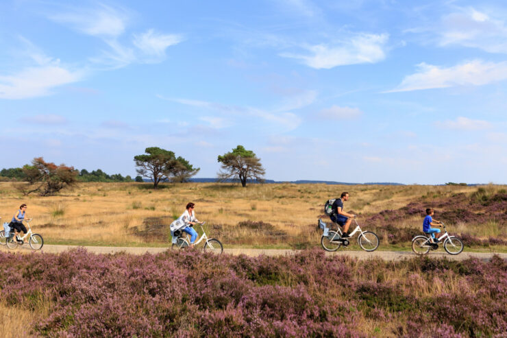 jaarkaart hoge veluwe