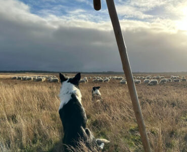Hilda Blanke Ginkelse Heide