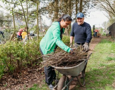 moestuin samenwerken