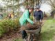 moestuin samenwerken