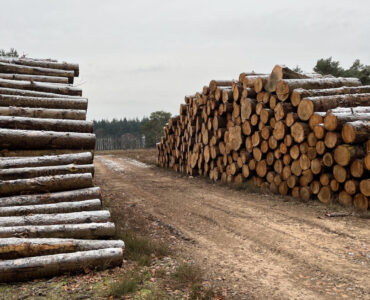 bomenkap de valouwe dec23