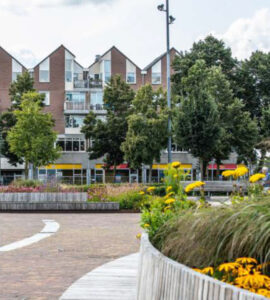 Nieuw beleid voor de openbare ruimte: wat betekent het voor jou? 14 ibor 1 centrum ede
