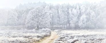 Ellen den Boer winter op de heide