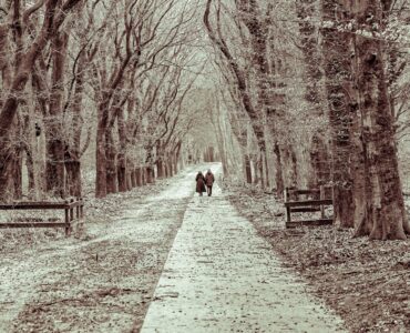 louizPrinsen Noord Ginkel