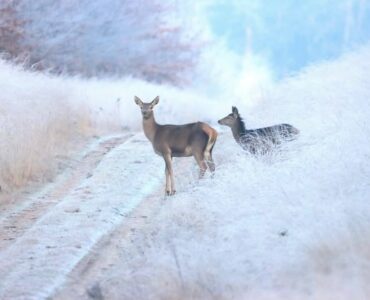 476094904 3034564990024922 8407236573996128583 n