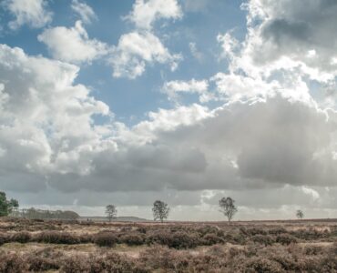 479523849 28374146645562175 42063573761536379 n