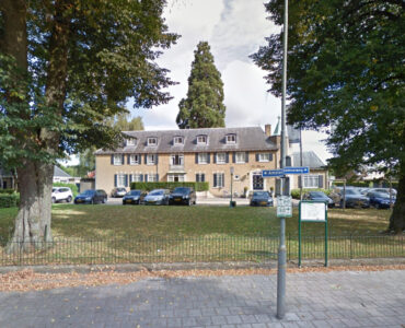 de mammoetboom van de bunte