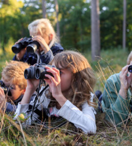 hogeveluwe relatiekaarten bekeken