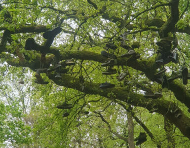 Aaltje Evers Brouwer schoenen Hoekelum horizontaal