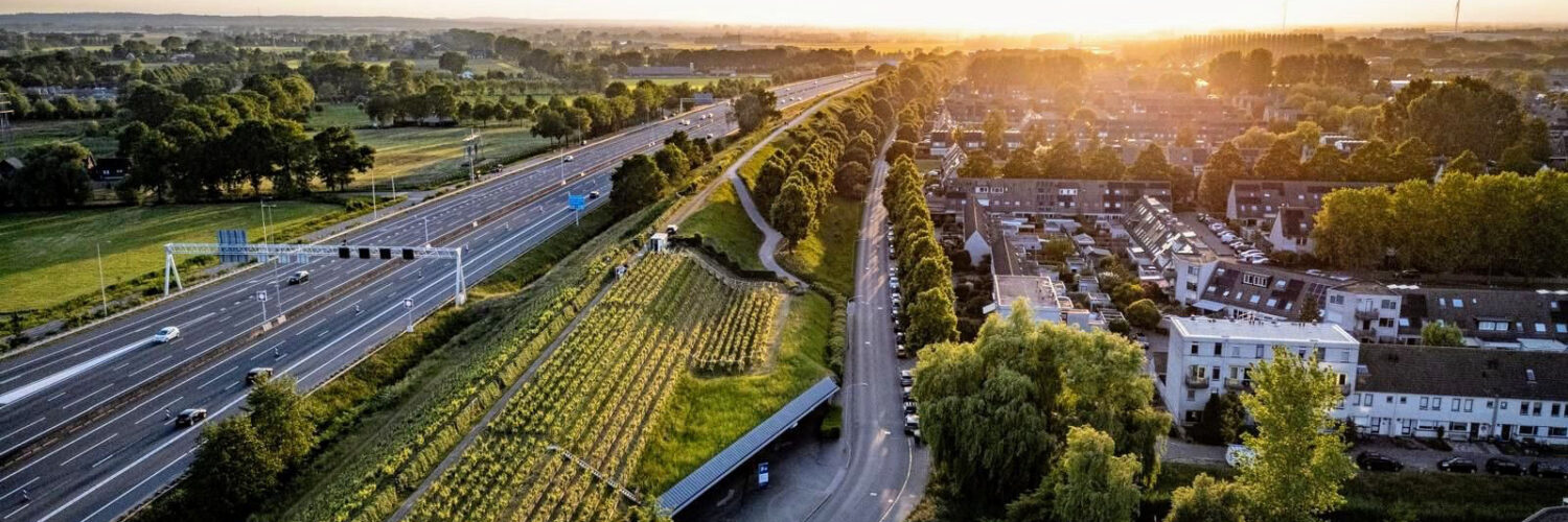 Willem de Weijer wijngaard a12