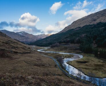 pexels sonny vermeer hout uit schotland