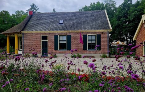 theehuis hoekelum 1