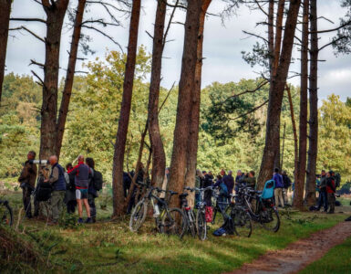 De wolf bijt zelden, maar de angst altijd 3 Jeroen Peters wolvenspotters 1