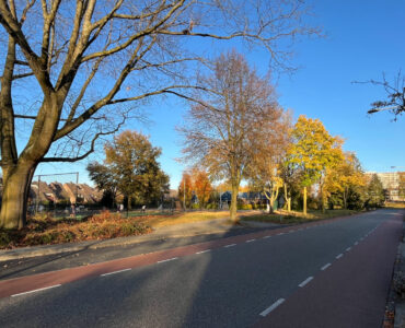 heyendaal ede