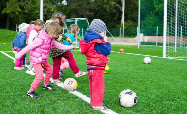 pexels goumbik 296302