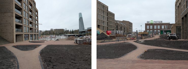 polarbears hartogshof