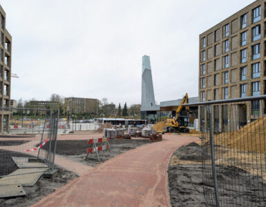 polarbearsplein allardbijlsma dec2025
