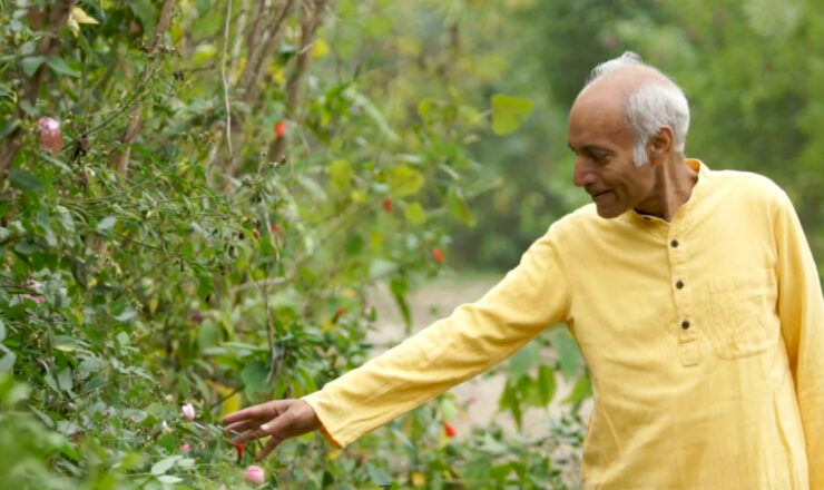 Yogacentrum in Otterlo: grote plannen, kleine praktijk 5 sn2
