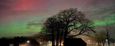 Noorderlicht Rinie Welgraven