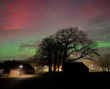 Noorderlicht Rinie Welgraven