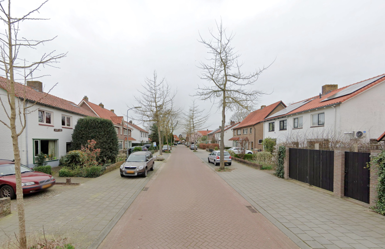 Stank en gladheid: waarom de Irenelaan van haar ginkgo’s af wil