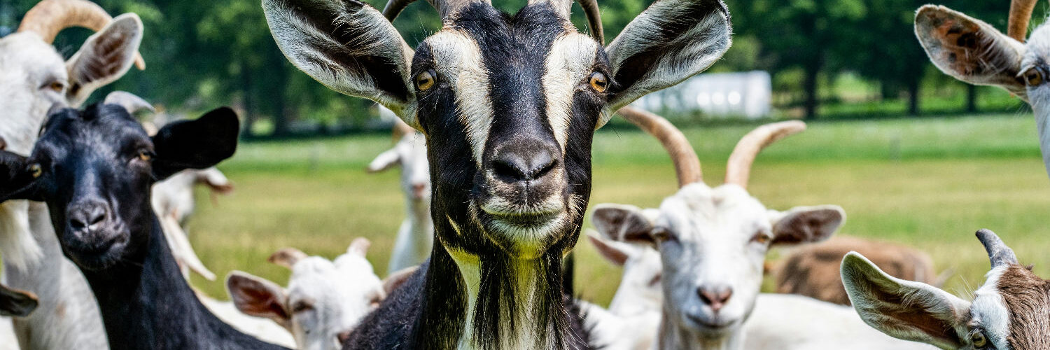 geiten chris robert unsplash