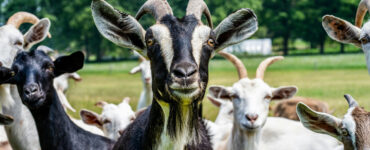 geiten chris robert unsplash