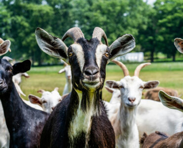 geiten chris robert unsplash