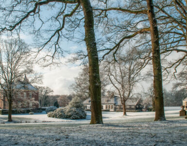 hoekelum dick klein geltink