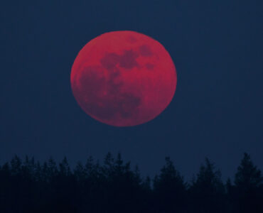 Louis Fraanje bloedmaan 3 maart 2026