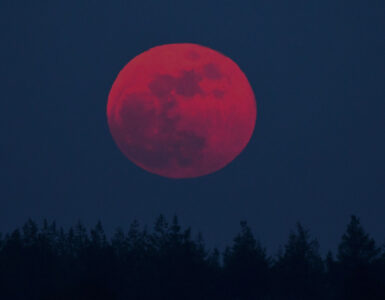 Louis Fraanje bloedmaan 3 maart 2026