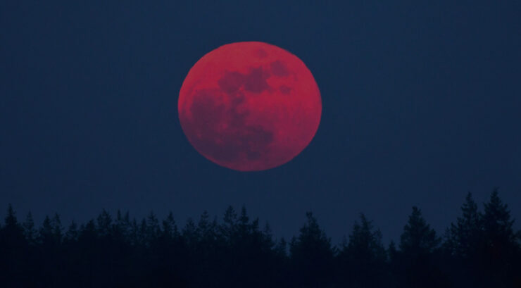 Louis Fraanje bloedmaan 3 maart 2026